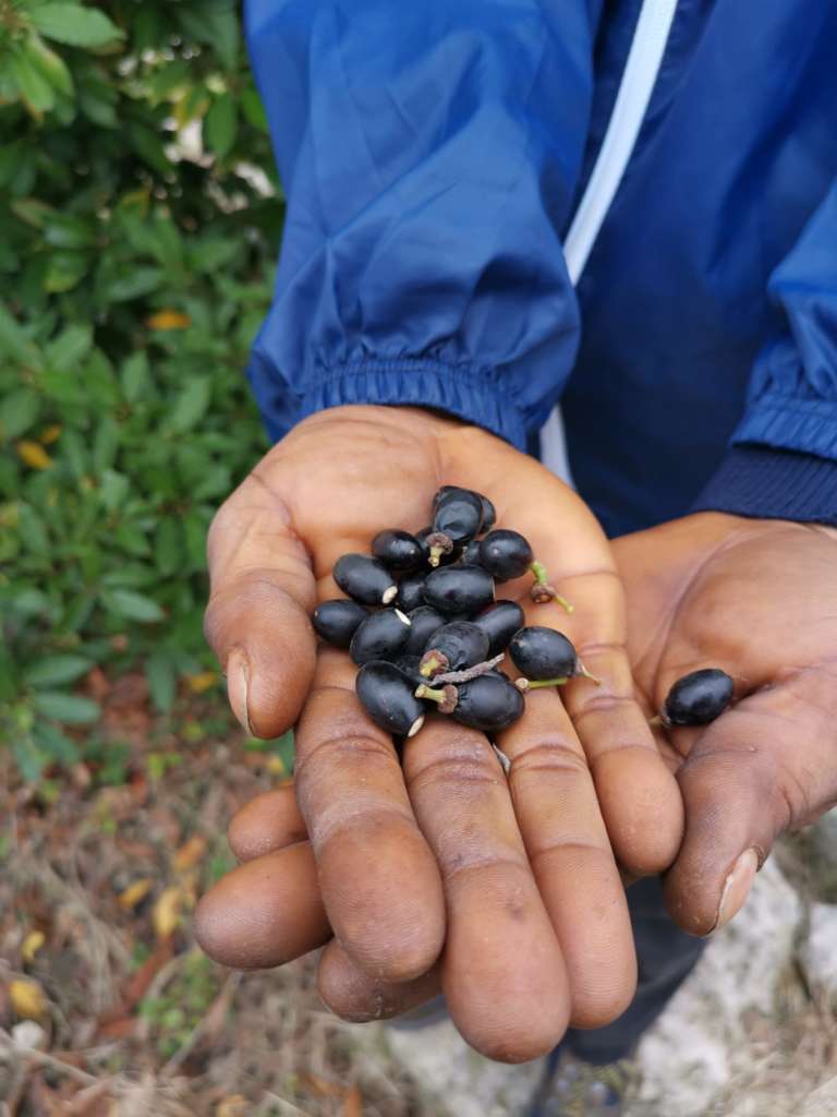 Imparare l’alchimia del sapone con il GUS