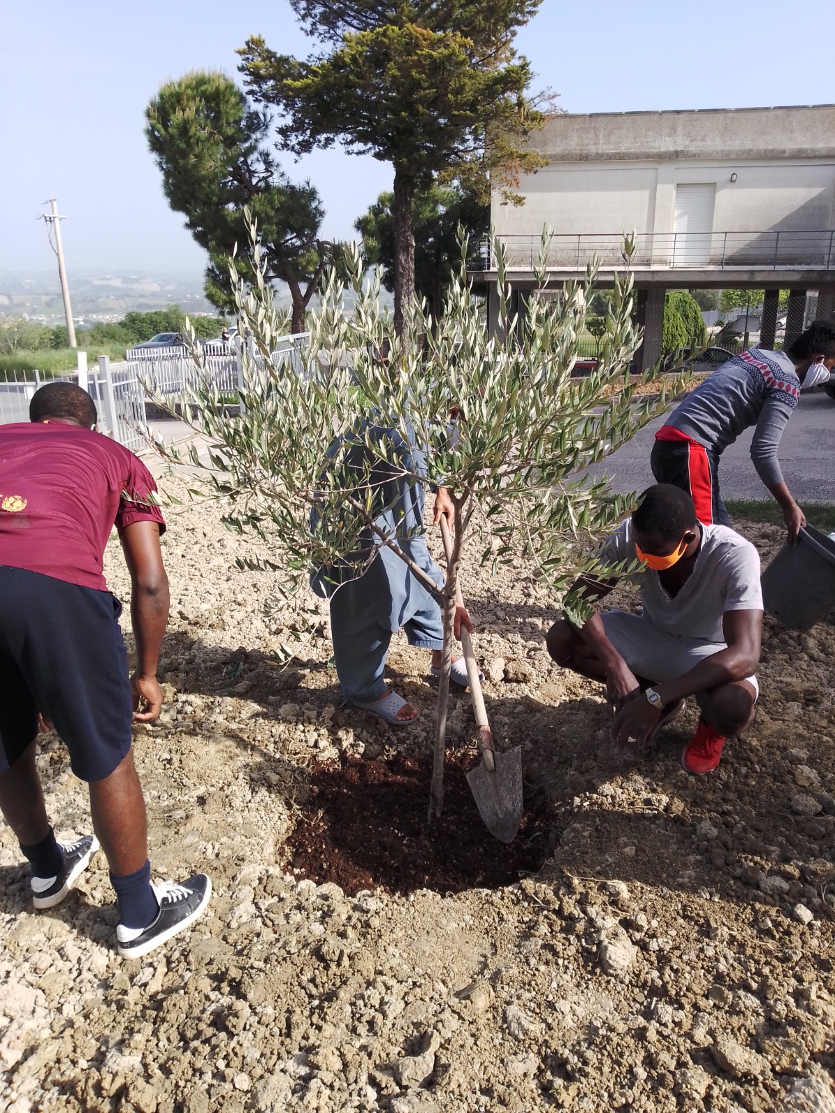 Orti e giardini sociali del piccolo borgo 02