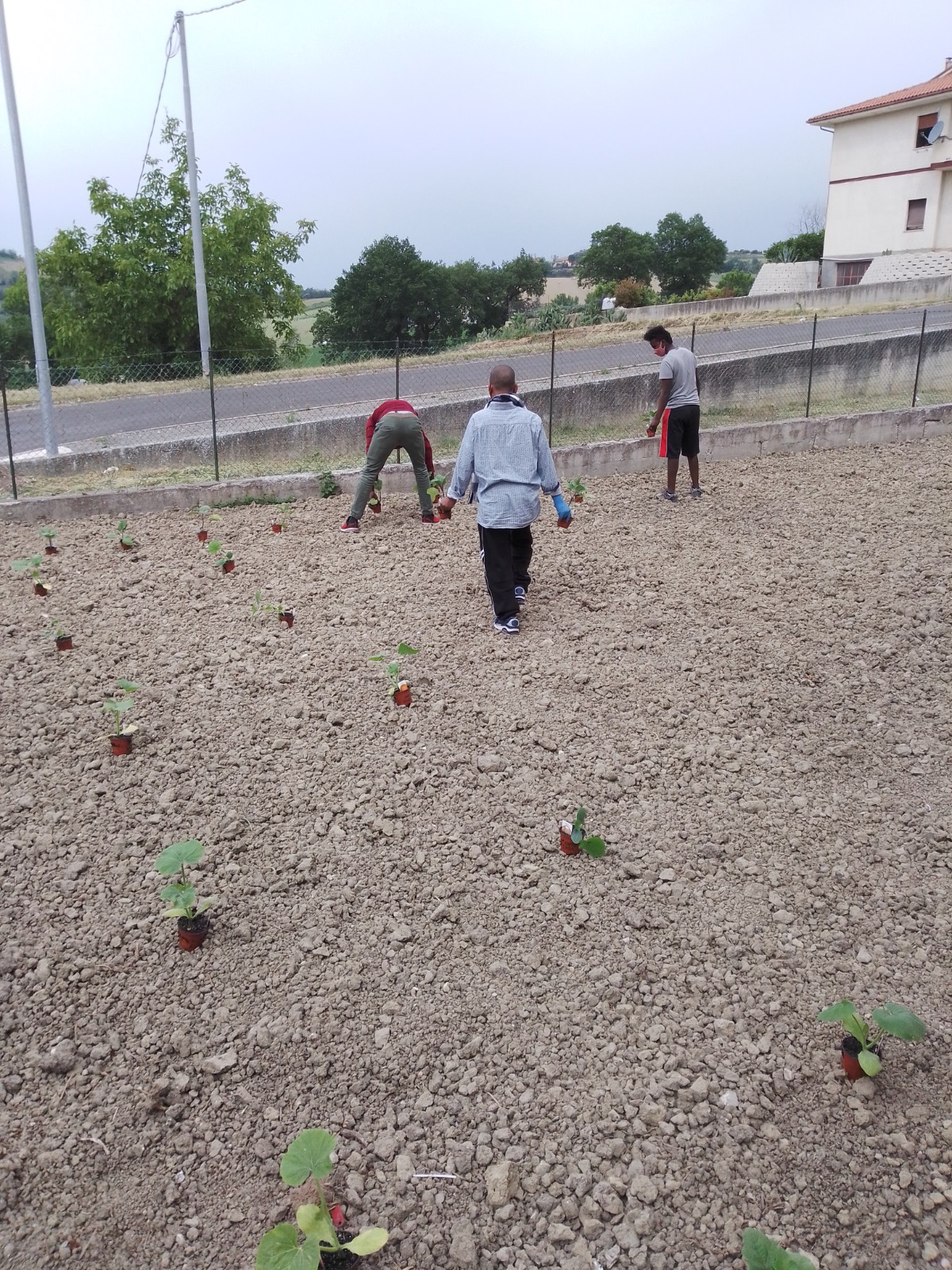 Orti e giardini sociali del piccolo borgo 04