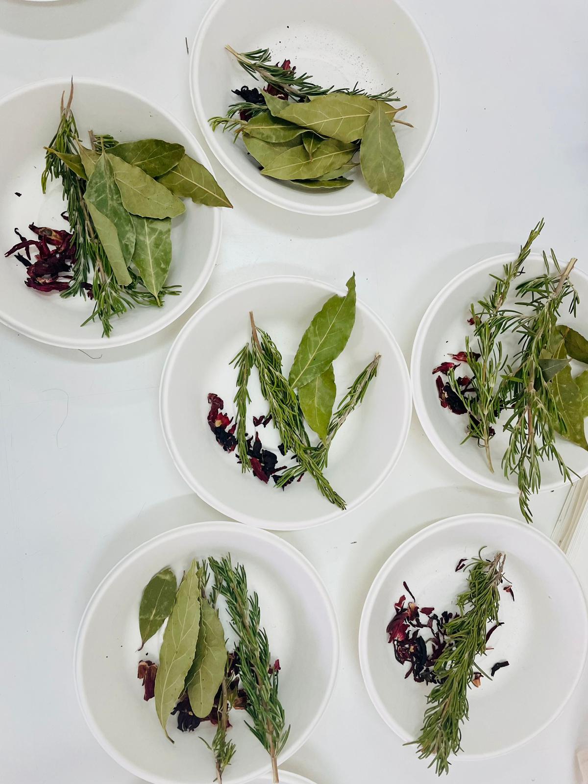 Laboratorio di Tisaneria Artistica