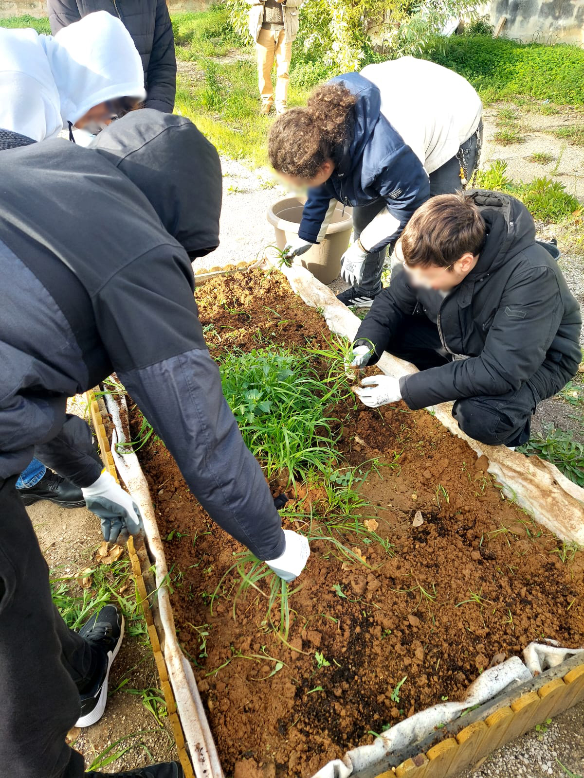 I laboratori sulla biodiversità di GEA