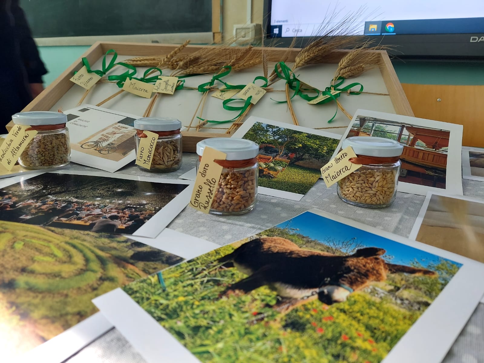 I laboratori sulla biodiversità di GEA