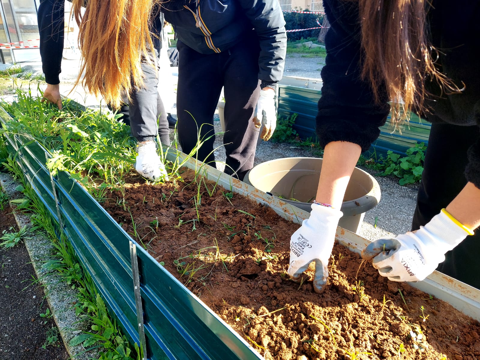 I laboratori sulla biodiversità di GEA