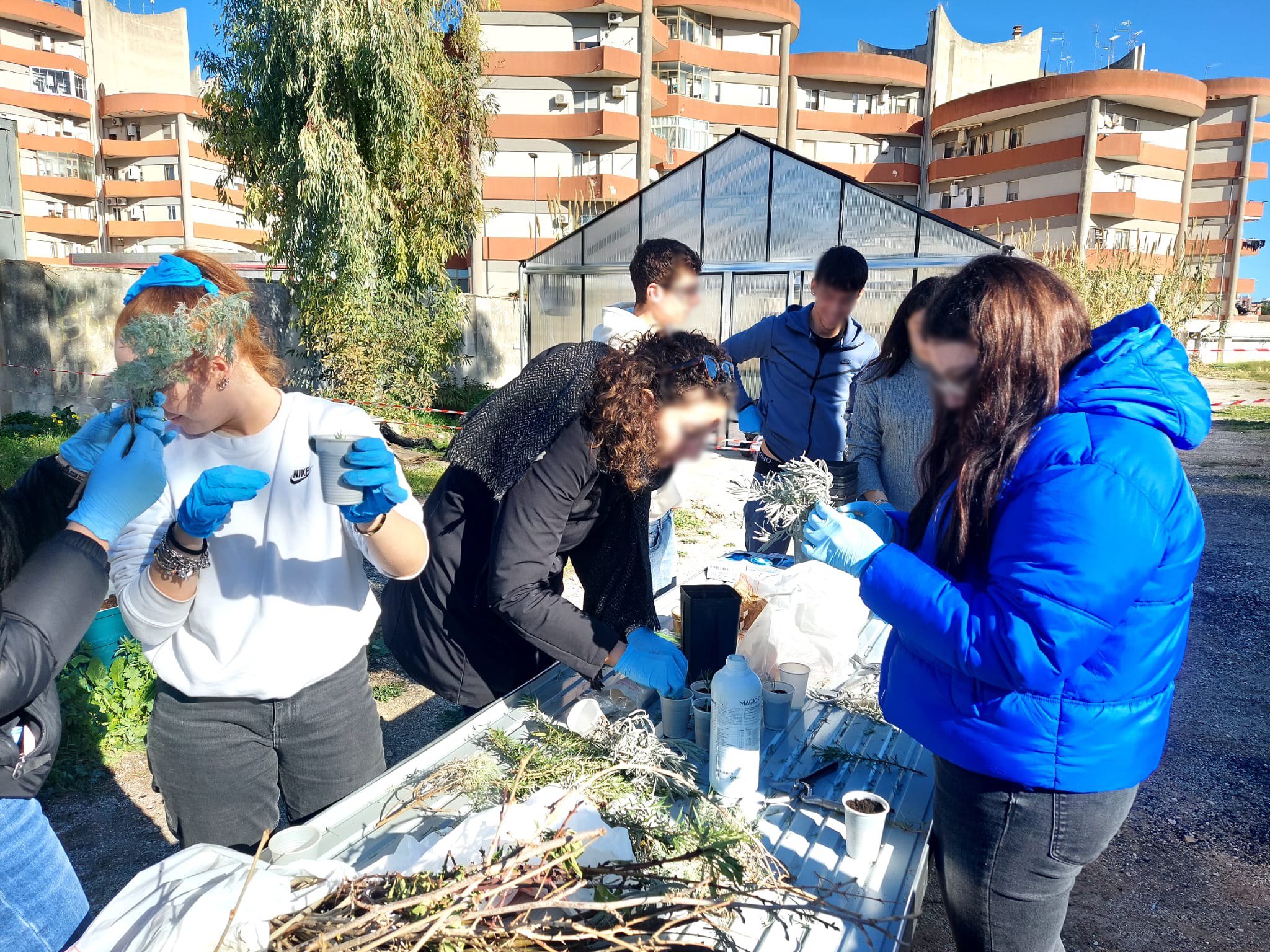 I semi, l'ambiente e gli uomini...